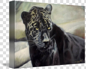 Black Jaguar Painting For Sale   Black Panther  HD Png Download