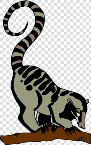 Lemur Clip Art  HD Png Download