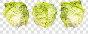 Iceburg Lettuce  HD Png Download