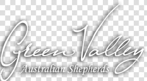 Australian Shepherd  Australian Shepherds In Utah   Calligraphy  HD Png Download