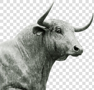 Bull Horns   Bull Horn And Ears  HD Png Download