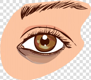 Brown Eyes Clipart Small Eye   Causes Dark Circles Eye  HD Png Download