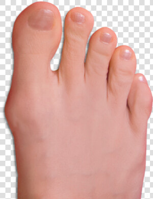 Transparent Toe Png   Toe Transparent  Png Download