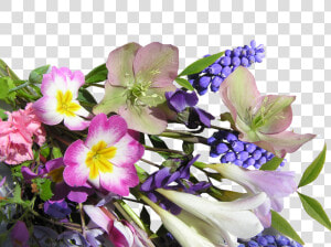 Flower Bunch Mixed Free Photo   Flower  HD Png Download