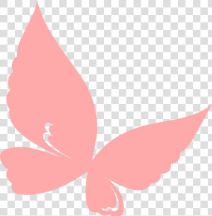 Butterfly Clipart Peach   Peach Butterfly  HD Png Download