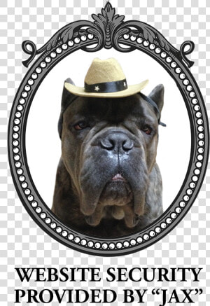 Jax   Cane Corso  HD Png Download