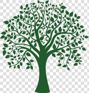 Clip Art Greentree Logo   Family Tree No Background  HD Png Download