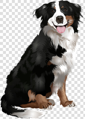 Dogs Vector Animal   Bernese Mountain Dog Vector  HD Png Download