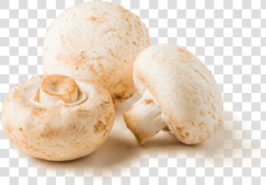 Champignon Transparent  HD Png Download