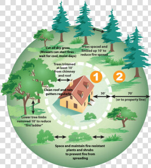 Defensive Space Diagram   Wui Defensible Space  HD Png Download