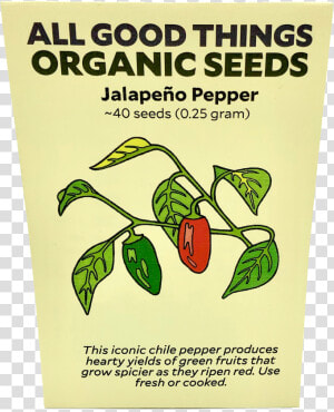 Jalapeño Pepper   Holy Basil  HD Png Download