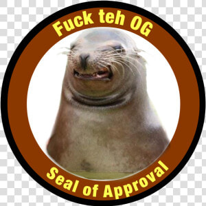 Seal Of Approval   Tenkovi  HD Png Download