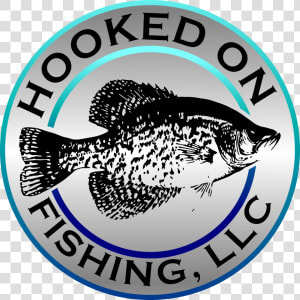 Hooked On Fishing Guide Services Nwa  HD Png Download