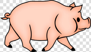 Wildlife neck domestic Pig   Cerdos Conncara De Simio Dibujo  HD Png Download