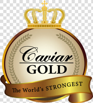 Caviar Gold Apparel Caviar Gold Apparel  HD Png Download