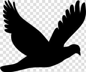 Silhouette monochrome Photography bird   Dove Flying Silhouette Png  Transparent Png