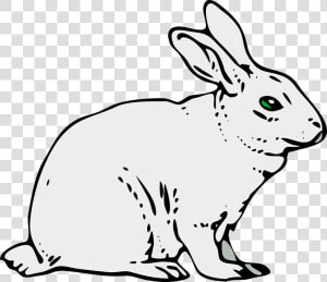 Rabbit Animal Mammal Free Picture   Clip Art Of Rabbit  HD Png Download