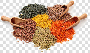 Lentils Png Transparent Image   Lentils Raw  Png Download