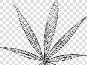 Drawn Weed Tobacco Leaf   Weed Leaf Drawing Png  Transparent Png