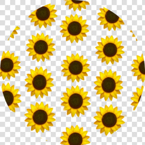    sunflower  emoji  background  yellow  aesthetic   Aesthetic Sunflower Phone Background  HD Png Download