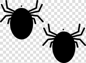 Bugs  Insect  Nature  Black  Crawling  Bedbug  Antenna   Ticks Clipart  HD Png Download