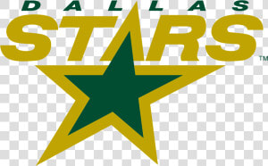 Dallas Stars Logo Png   Dallas Stars Logo Svg  Transparent Png