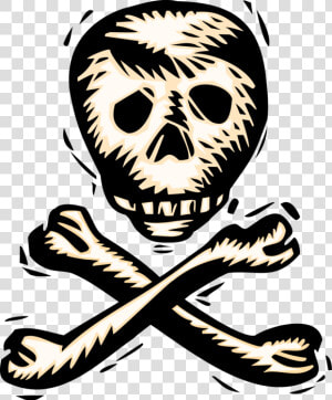 Vector Illustration Of Buccaneer Pirate Skull And Crossbones  HD Png Download