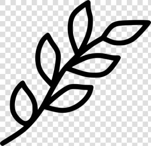 Branch Leaf Leaves Spring Decoration Nature Plant   Branch With Leaves Clip Art  HD Png Download