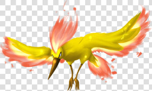  ​img    Pokemon Legendary Moltres Transparent  HD Png Download