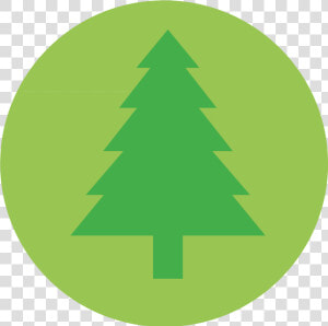 Tree Icon Conservation Icon   Conservation Icon Png  Transparent Png