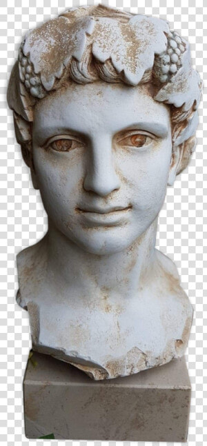 Bust Of Young Man Of Antiquity In Plaster On Marble  HD Png Download