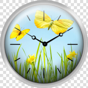 Yellow Butterflies With Grass And Daffodils   Texture Clock Png  Transparent Png