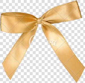 Transparent Gold Christmas Bow Png   Cores De Agosto 2019  Png Download