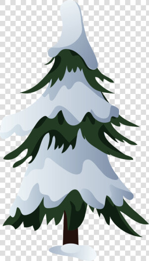 Snowy Pine Tree Png   Snowy Pine Trees Clipart  Transparent Png