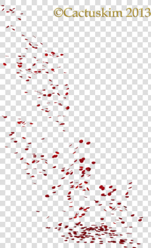 Falling Petals Png   Flower Petal Render  Transparent Png