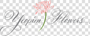 Yeopim Flowers   Guernsey Lily  HD Png Download