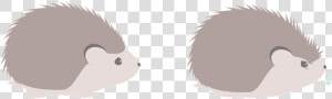 Hedgehog  Animal  Pet   Vector Erizo Png  Transparent Png