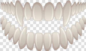 Fang Png Transparent Image   Transparent Fang Png  Png Download