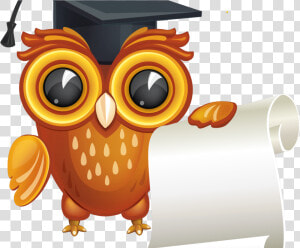 Graduation Owl Vector Png   Owl Graduation Clipart Png  Transparent Png