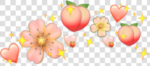  corona  corazon  peach  melocoton  orange  pastel   Corona De Corazones Naranjas Png  Transparent Png