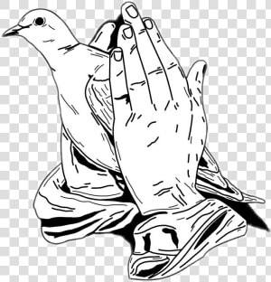 Transparent Worship Hands Png   Prayer Hands With Dove  Png Download