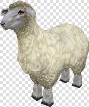 Zoo Tycoon 2 Alpaca  HD Png Download