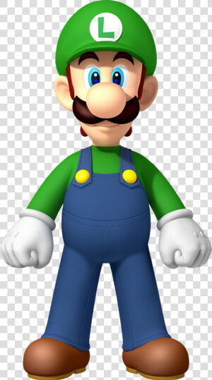 Download Luigi Png File For Designing Projects   New Super Mario Bros Wii Luigi  Transparent Png