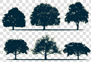 Silhouette Oak Tree   Architecture Tree Silhouette Png  Transparent Png