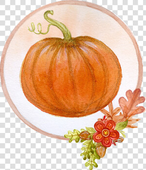 Pumpkin  Decoration  Thanksgiving  Halloween   Floral Pumpkin Png  Transparent Png