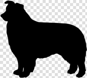 Australian Cattle Dog Silhouette At Getdrawings   Australian Shepherd Silhouette Png  Transparent Png