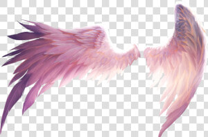 Feather Png Picsart Picsart Stickers Wings Clipart   Anime Angel Wings Transparent  Png Download