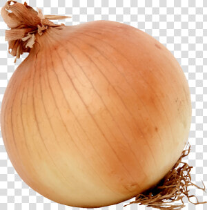 Onion food winter Squash   Onion Clipart  HD Png Download