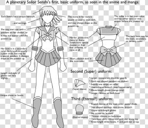 Sailor Moon Senshi Outfits  HD Png Download