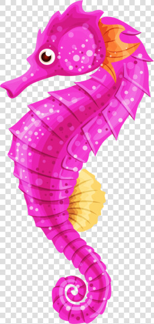 Seahorse Png Clip Art   Transparent Background Seahorse Clipart  Png Download